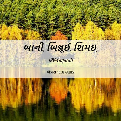 Picture 06 - એઝરા 10:38 GUJIRV - બાની, બિન્નૂઈ, - Bible Verse Picture