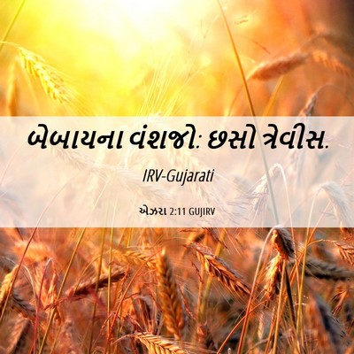 Picture 06 - એઝરા 2:11 GUJIRV - બેબાયના વંશજો: છસો - Bible Verse Picture