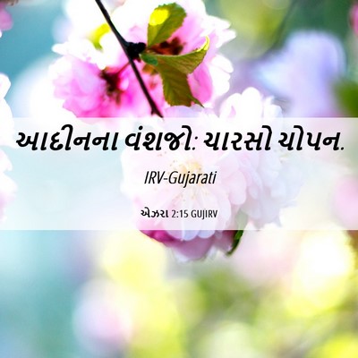 Picture 06 - એઝરા 2:15 GUJIRV - આદીનના વંશજો: - Bible Verse Picture