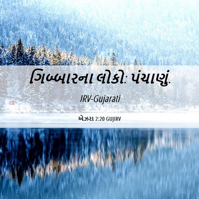 Picture 06 - એઝરા 2:20 GUJIRV - ગિબ્બારના લોકો: - Bible Verse Picture