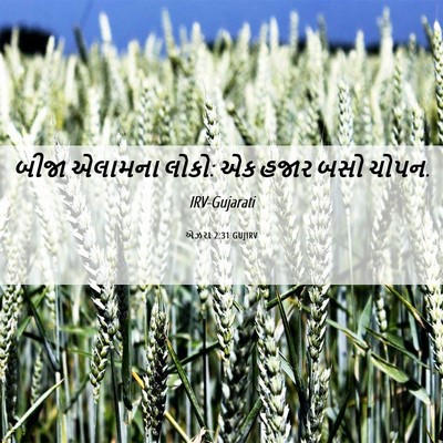 Picture 06 - એઝરા 2:31 GUJIRV - બીજા એલામના લોકો: - Bible Verse Picture
