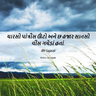 Picture 06 - એઝરા 2:67 GUJIRV - ચારસો પાંત્રીસ - Bible Verse Picture