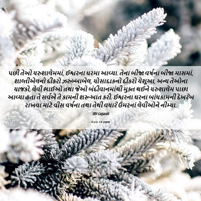 Picture 06 - એઝરા 3:8 GUJIRV - પછી તેઓ - Bible Verse Picture