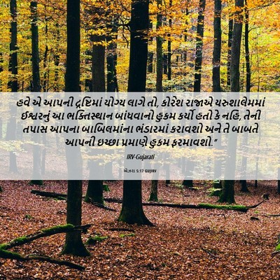 Picture 06 - એઝરા 5:17 GUJIRV - હવે એ આપની - Bible Verse Picture