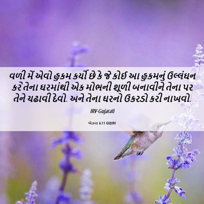 Picture 06 - એઝરા 6:11 GUJIRV - વળી મેં એવો હુકમ - Bible Verse Picture