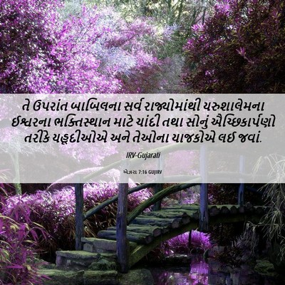 Picture 06 - એઝરા 7:16 GUJIRV - તે ઉપરાંત બાબિલના - Bible Verse Picture