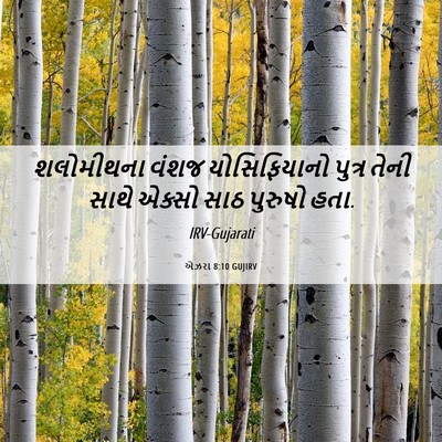 Picture 06 - એઝરા 8:10 GUJIRV - શલોમીથના વંશજ - Bible Verse Picture