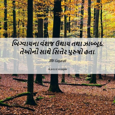 Picture 06 - એઝરા 8:14 GUJIRV - બિગ્વાયના વંશજ - Bible Verse Picture