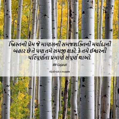 Picture 06 - એફેસીઓને 3:19 GUJIRV - ખ્રિસ્તનો પ્રેમ - Bible Verse Picture