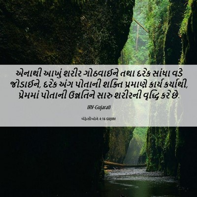 Picture 06 - એફેસીઓને 4:16 GUJIRV - એનાથી આખું શરીર - Bible Verse Picture