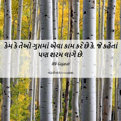 Picture 06 - એફેસીઓને 5:12 GUJIRV - કેમ કે તેઓ - Bible Verse Picture