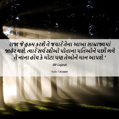 Picture 06 - એસ્તેર 1:20 GUJIRV - રાજા જે હુકમ કરશે - Bible Verse Picture