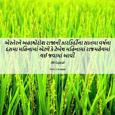 Picture 06 - એસ્તેર 2:16 GUJIRV - એસ્તેરને - Bible Verse Picture