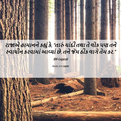 Picture 06 - એસ્તેર 3:11 GUJIRV - રાજાએ હામાનને - Bible Verse Picture