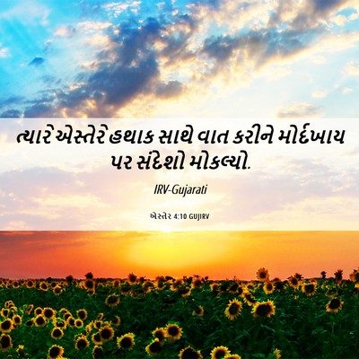 Picture 06 - એસ્તેર 4:10 GUJIRV - ત્યારે એસ્તેરે - Bible Verse Picture