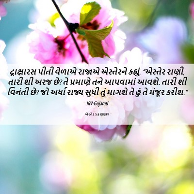 Picture 06 - એસ્તેર 5:6 GUJIRV - દ્રાક્ષારસ પીતી - Bible Verse Picture