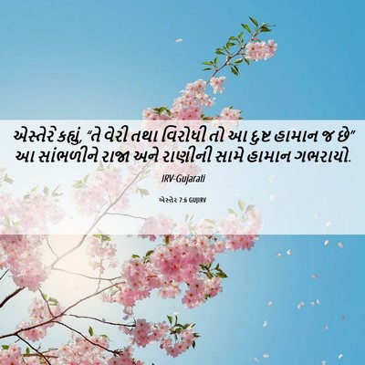 Picture 06 - એસ્તેર 7:6 GUJIRV - એસ્તેરે કહ્યું, - Bible Verse Picture