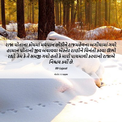 Picture 06 - એસ્તેર 7:7 GUJIRV - રાજા પોતાના - Bible Verse Picture