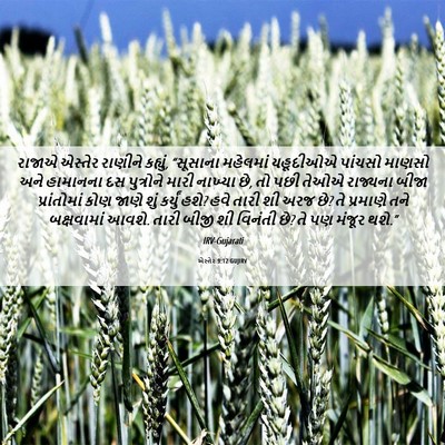 Picture 06 - એસ્તેર 9:12 GUJIRV - રાજાએ એસ્તેર - Bible Verse Picture