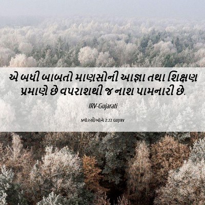Picture 06 - ક્લોસ્સીઓને 2:22 GUJIRV - એ બધી બાબતો - Bible Verse Picture