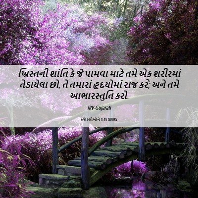 Picture 06 - ક્લોસ્સીઓને 3:15 GUJIRV - ખ્રિસ્તની શાંતિ - Bible Verse Picture