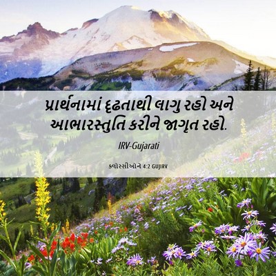 Picture 06 - ક્લોસ્સીઓને 4:2 GUJIRV - પ્રાર્થનામાં - Bible Verse Picture