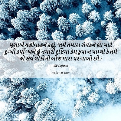 Picture 06 - ગણના 11:11 GUJIRV - મૂસાએ યહોવાહને - Bible Verse Picture