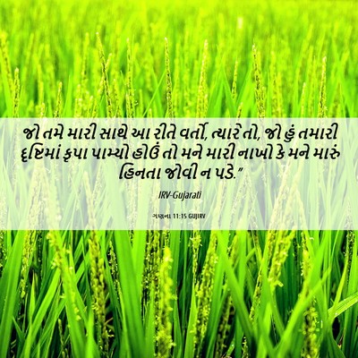 Picture 06 - ગણના 11:15 GUJIRV - જો તમે મારી સાથે આ - Bible Verse Picture
