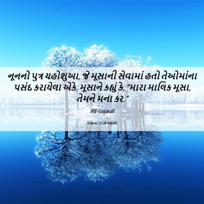 Picture 06 - ગણના 11:28 GUJIRV - નૂનનો પુત્ર - Bible Verse Picture