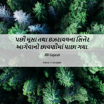 Picture 06 - ગણના 11:30 GUJIRV - પછી મૂસા તથા - Bible Verse Picture