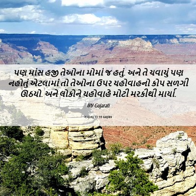 Picture 06 - ગણના 11:33 GUJIRV - પણ માંસ હજી તેઓના - Bible Verse Picture