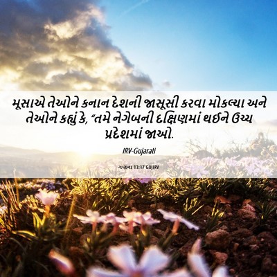 Picture 06 - ગણના 13:17 GUJIRV - મૂસાએ તેઓને કનાન - Bible Verse Picture