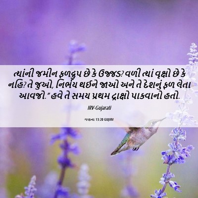 Picture 06 - ગણના 13:20 GUJIRV - ત્યાંની જમીન - Bible Verse Picture
