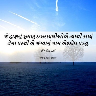 Picture 06 - ગણના 13:24 GUJIRV - જે દ્રાક્ષનું - Bible Verse Picture