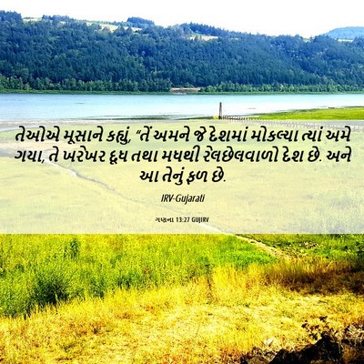 Picture 06 - ગણના 13:27 GUJIRV - તેઓએ મૂસાને - Bible Verse Picture