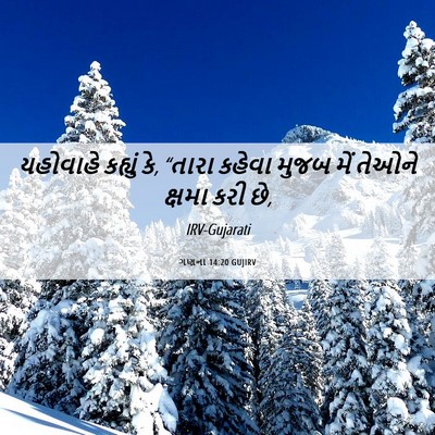 Picture 06 - ગણના 14:20 GUJIRV - યહોવાહે કહ્યું કે, - Bible Verse Picture
