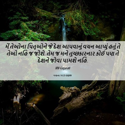 Picture 06 - ગણના 14:23 GUJIRV - મેં તેઓના પિતૃઓને - Bible Verse Picture
