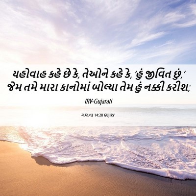 Picture 06 - ગણના 14:28 GUJIRV - યહોવાહ કહે છે કે, - Bible Verse Picture