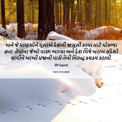 Picture 06 - ગણના 14:36 GUJIRV - અને જે માણસોને - Bible Verse Picture