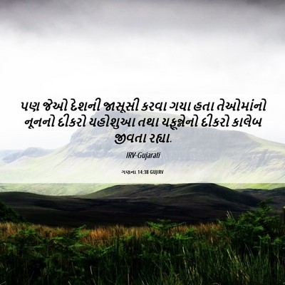 Picture 06 - ગણના 14:38 GUJIRV - પણ જેઓ દેશની - Bible Verse Picture