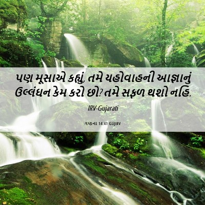 Picture 06 - ગણના 14:41 GUJIRV - પણ મૂસાએ કહ્યું, - Bible Verse Picture