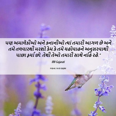 Picture 06 - ગણના 14:43 GUJIRV - પણ અમાલેકીઓ અને - Bible Verse Picture