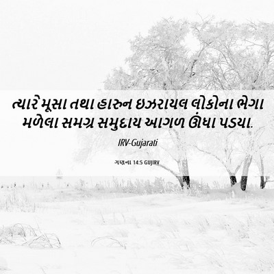 Picture 06 - ગણના 14:5 GUJIRV - ત્યારે મૂસા તથા - Bible Verse Picture