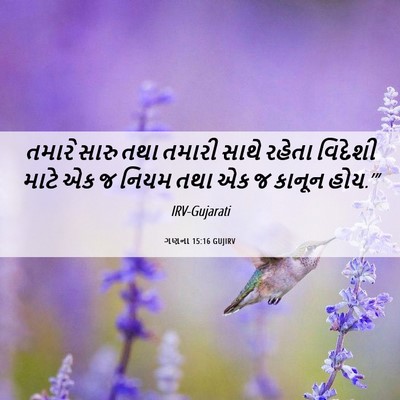 Picture 06 - ગણના 15:16 GUJIRV - તમારે સારુ તથા - Bible Verse Picture