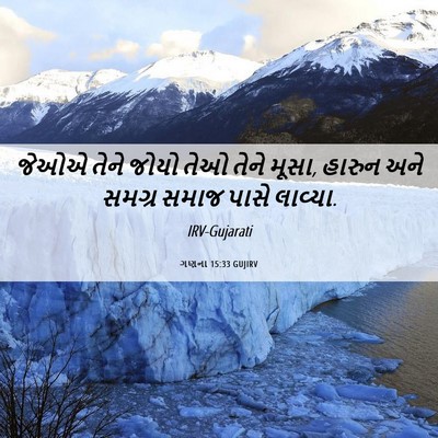 Picture 06 - ગણના 15:33 GUJIRV - જેઓએ તેને જોયો તેઓ - Bible Verse Picture
