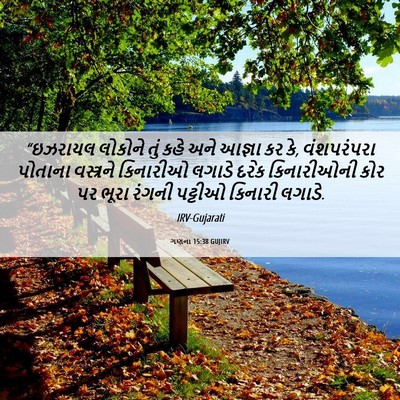 Picture 06 - ગણના 15:38 GUJIRV - “ઇઝરાયલ લોકોને - Bible Verse Picture