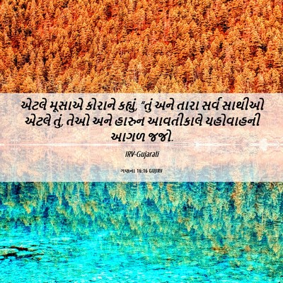 Picture 06 - ગણના 16:16 GUJIRV - એટલે મૂસાએ કોરાને - Bible Verse Picture