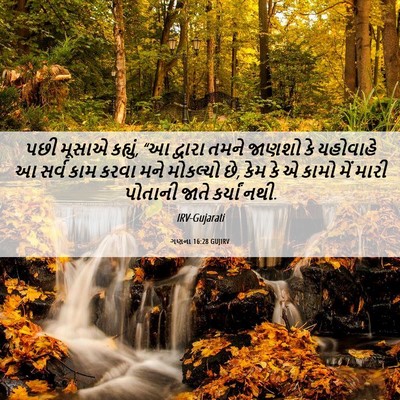 Picture 06 - ગણના 16:28 GUJIRV - પછી મૂસાએ કહ્યું, - Bible Verse Picture