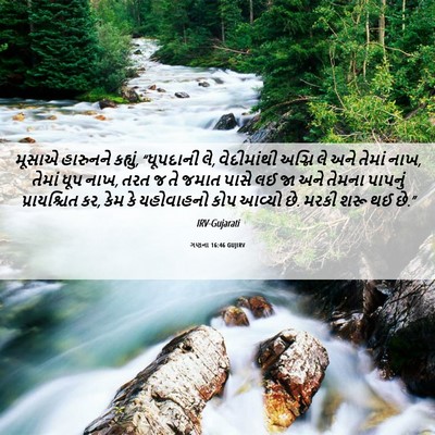 Picture 06 - ગણના 16:46 GUJIRV - મૂસાએ હારુનને - Bible Verse Picture