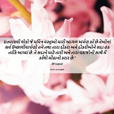 Picture 06 - ગણના 18:19 GUJIRV - ઇઝરાયલી લોકો જે - Bible Verse Picture